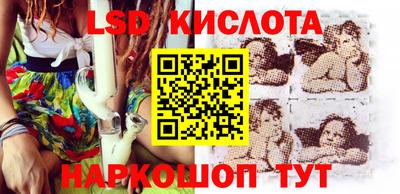 PSILOCYBIN Кунгур