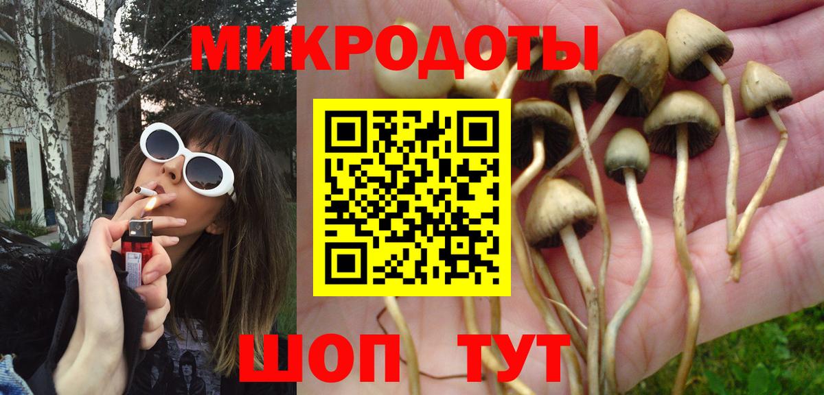 Галлюциногенные грибы Cubensis Губкинский