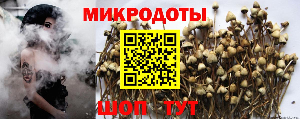 Галлюциногенные грибы MAGIC MUSHROOMS  Галлюциногенные грибы Cubensis  Вход с VPN  Губкинский 